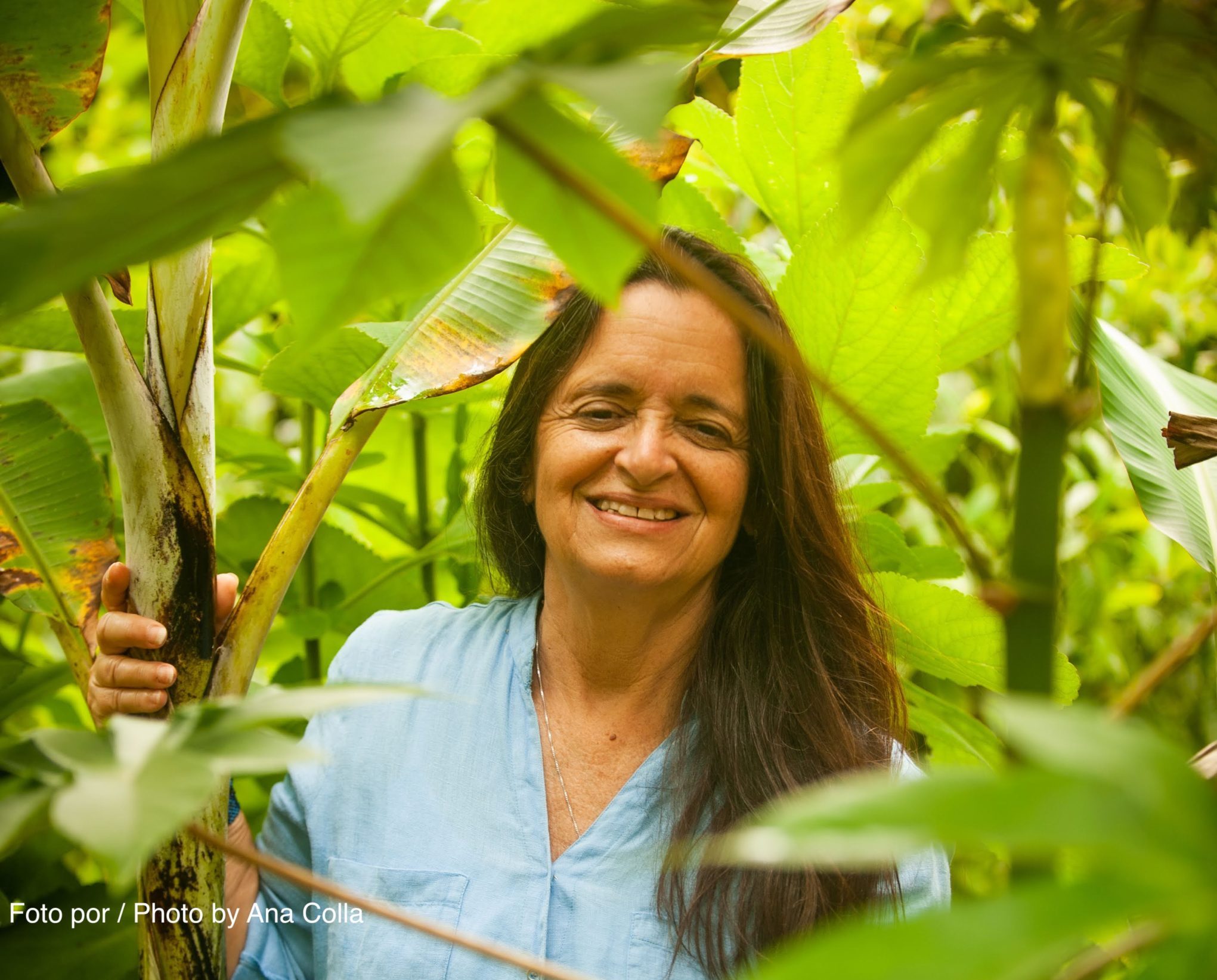 imagem curso Farmácia Caseira