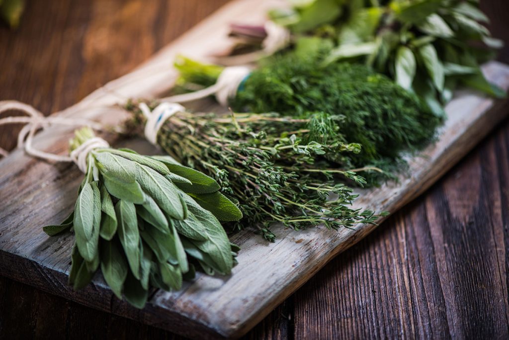 imagem artigos Plantas Medicinais com Vera Froes