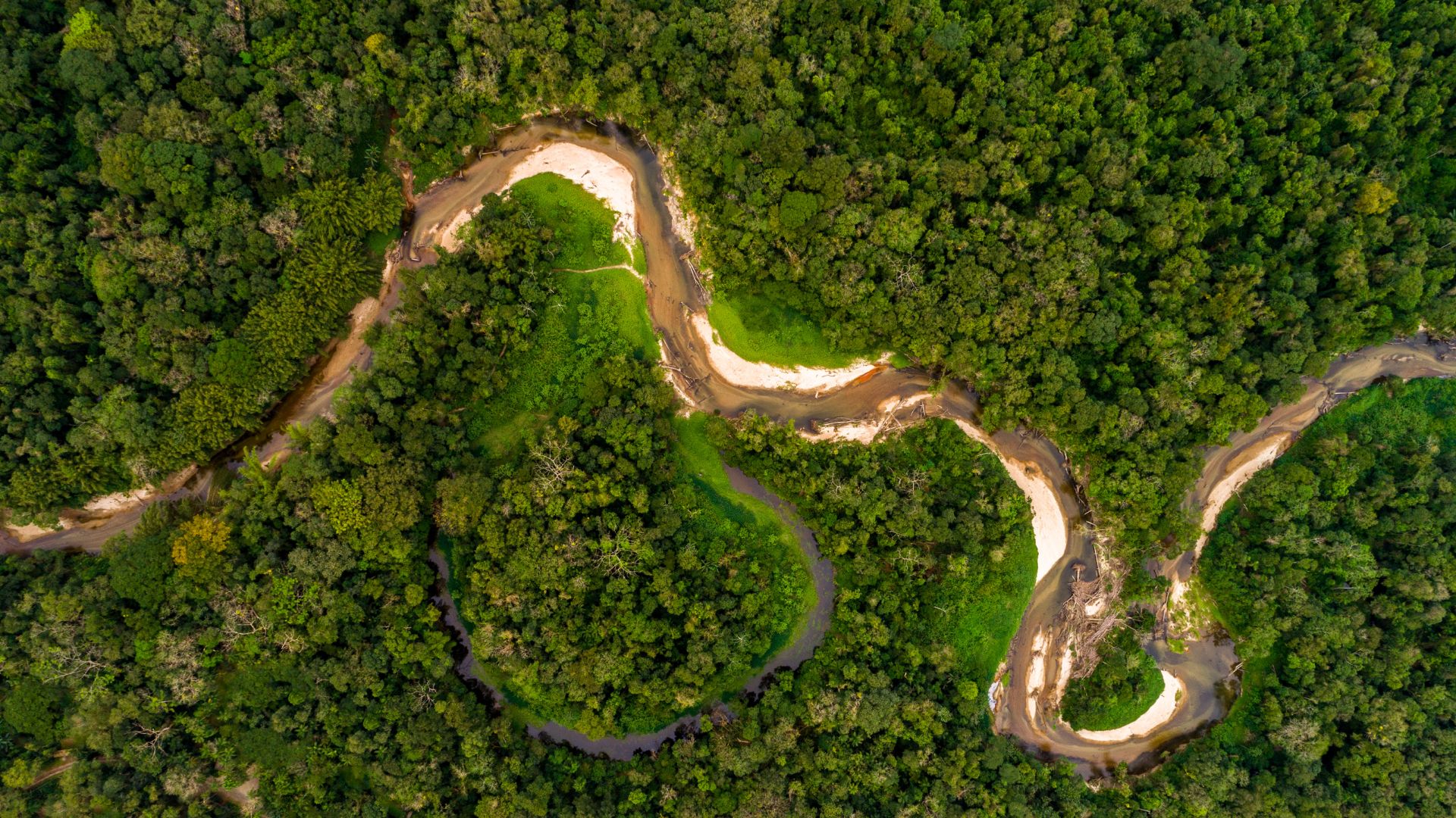 imagem A Amazônia Desidratada: Impactos e Desafios da Seca Prolongada